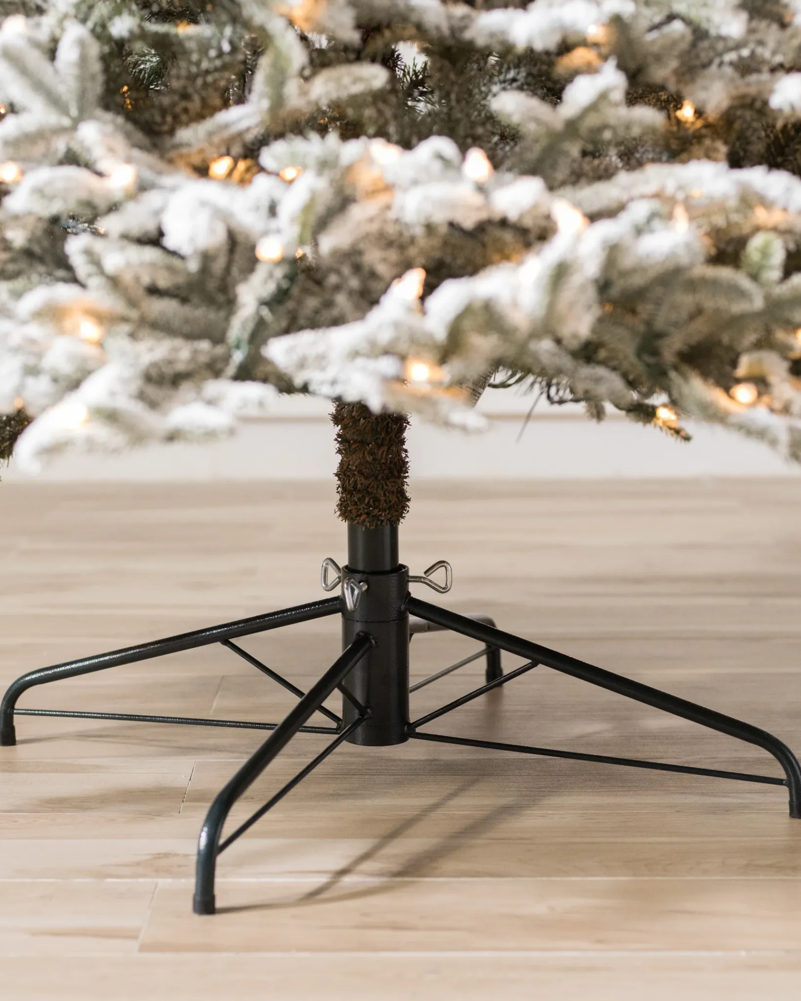 New BH Frosted Fraser Fir® Trees 7 - 7.5 Feet|Under 6 Feet