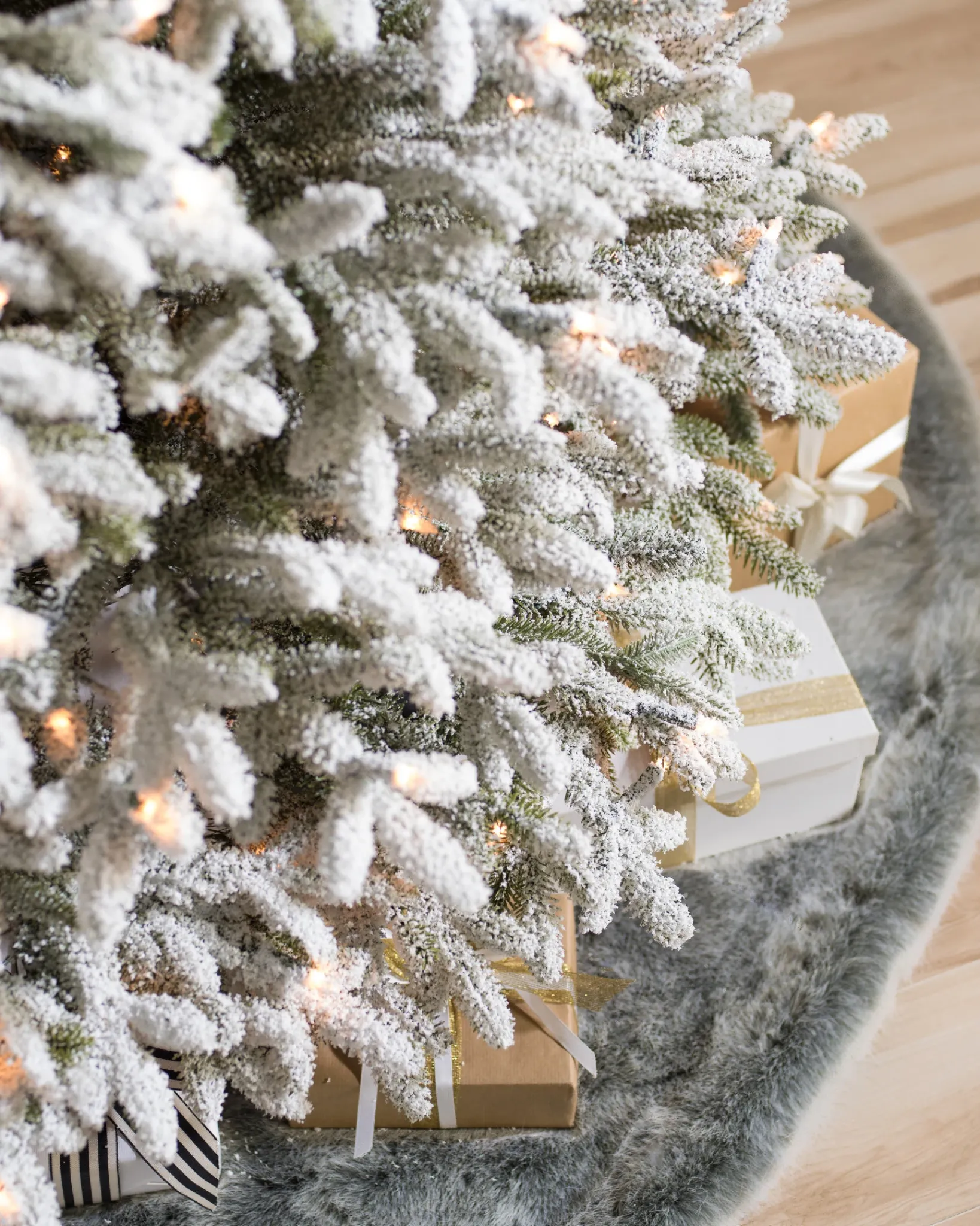 New BH Frosted Fraser Fir® Trees 7 - 7.5 Feet|Under 6 Feet