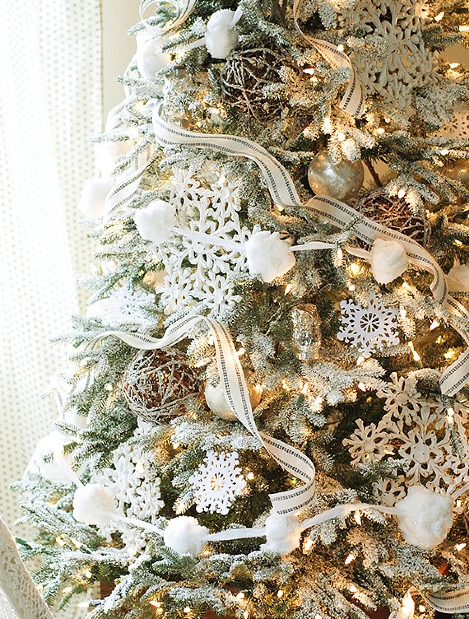 New BH Frosted Fraser Fir® Trees 7 - 7.5 Feet|Under 6 Feet