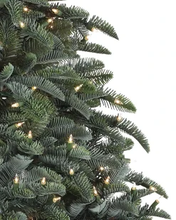 Online BH Noble Fir® ReNEW™ 7 - 7.5 Feet|8 - 9 Feet