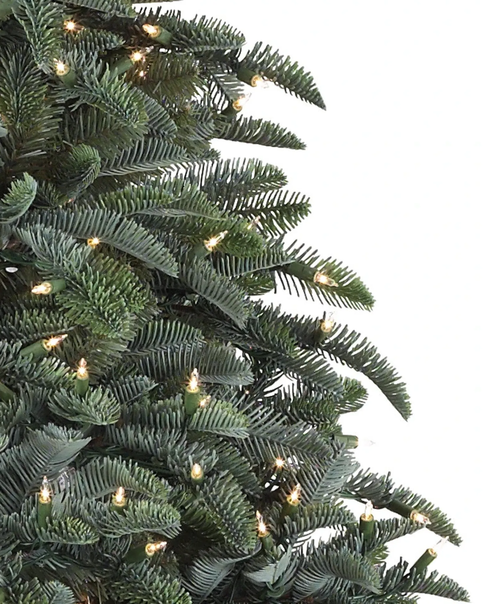 Online BH Noble Fir® ReNEW™ 7 - 7.5 Feet|8 - 9 Feet