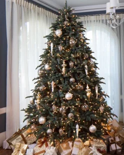 Online BH Noble Fir® ReNEW™ 7 - 7.5 Feet|8 - 9 Feet