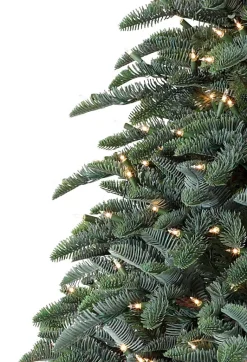 Online BH Noble Fir® ReNEW™ 7 - 7.5 Feet|8 - 9 Feet