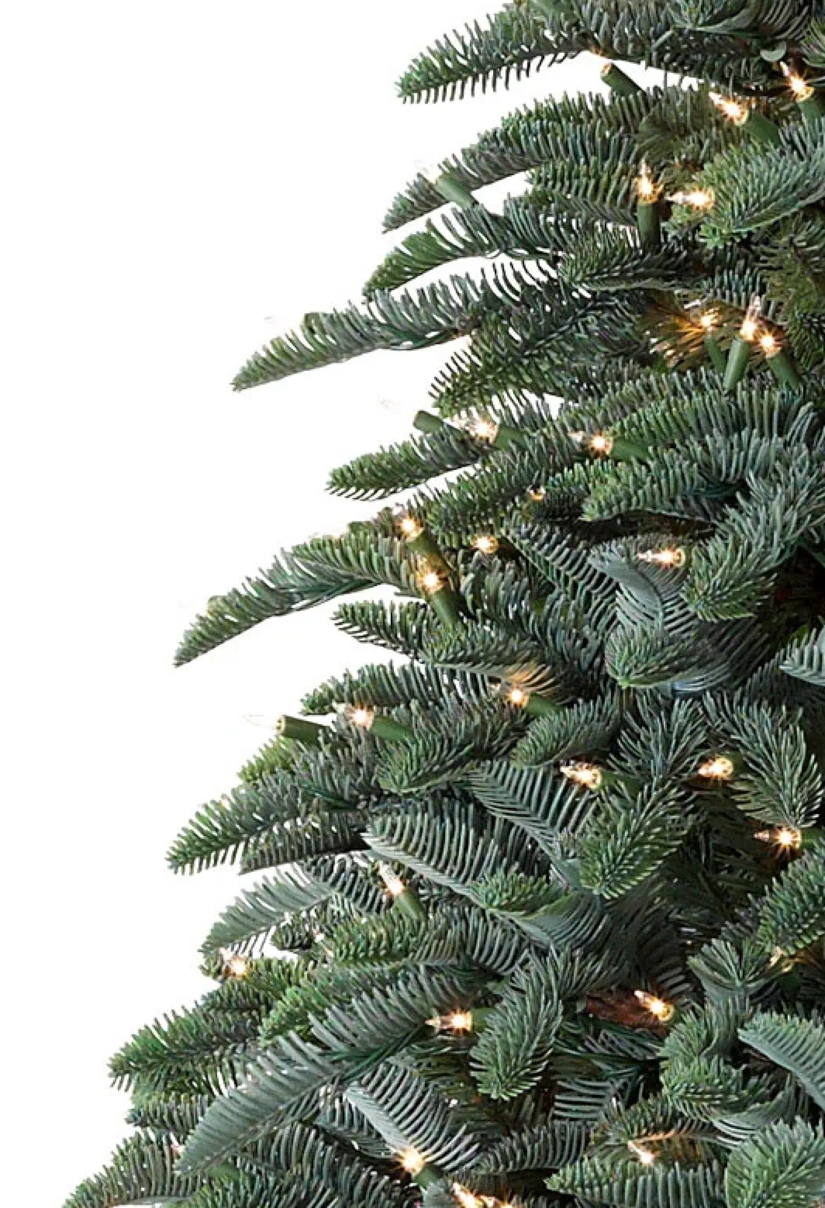 Online BH Noble Fir® ReNEW™ 7 - 7.5 Feet|8 - 9 Feet