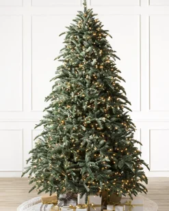 Hot BH Noble Fir® Trees 7 - 7.5 Feet|Pre-Lit