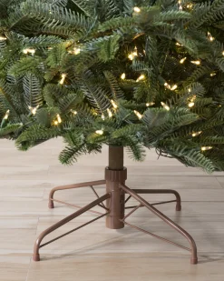 Clearance BH Nordmann Fir Trees 7 - 7.5 Feet|6 - 6.5 Feet
