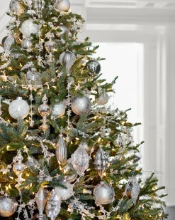 Clearance BH Nordmann Fir Trees 7 - 7.5 Feet|6 - 6.5 Feet