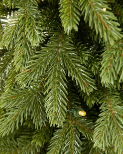 Discount BH Norway Spruce Foliage 30 - 42 Inch|5 - 7 Feet