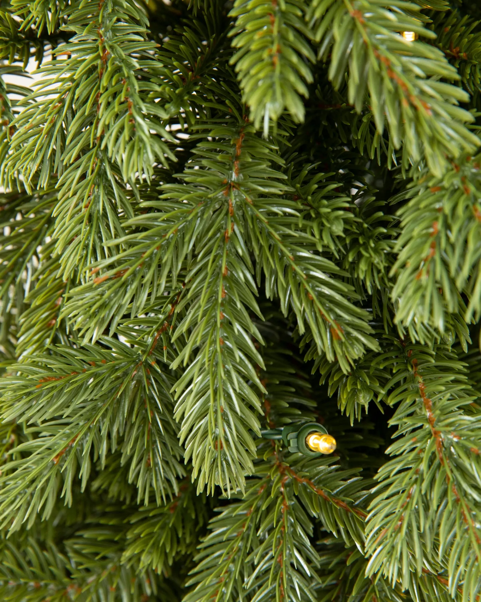Discount BH Norway Spruce Foliage 30 - 42 Inch|5 - 7 Feet