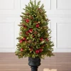 Hot BH Norway Spruce Holiday Foliage 18 - 24 Inch|Pre-Lit