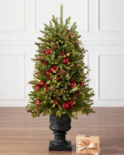 Hot BH Norway Spruce Holiday Foliage 18 - 24 Inch|Pre-Lit