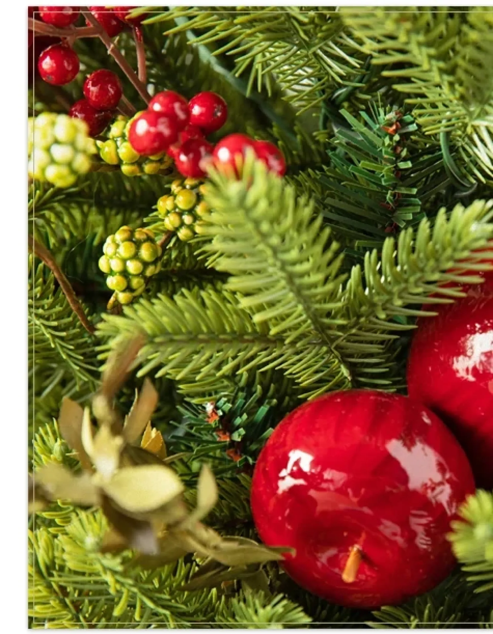 Hot BH Norway Spruce Holiday Foliage 18 - 24 Inch|Pre-Lit