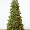 Online BH Norway Spruce Trees 7 - 7.5 Feet|Under 6 Feet