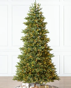 Online BH Norway Spruce Trees 7 - 7.5 Feet|Under 6 Feet