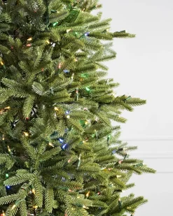 Online BH Norway Spruce Trees 7 - 7.5 Feet|Under 6 Feet