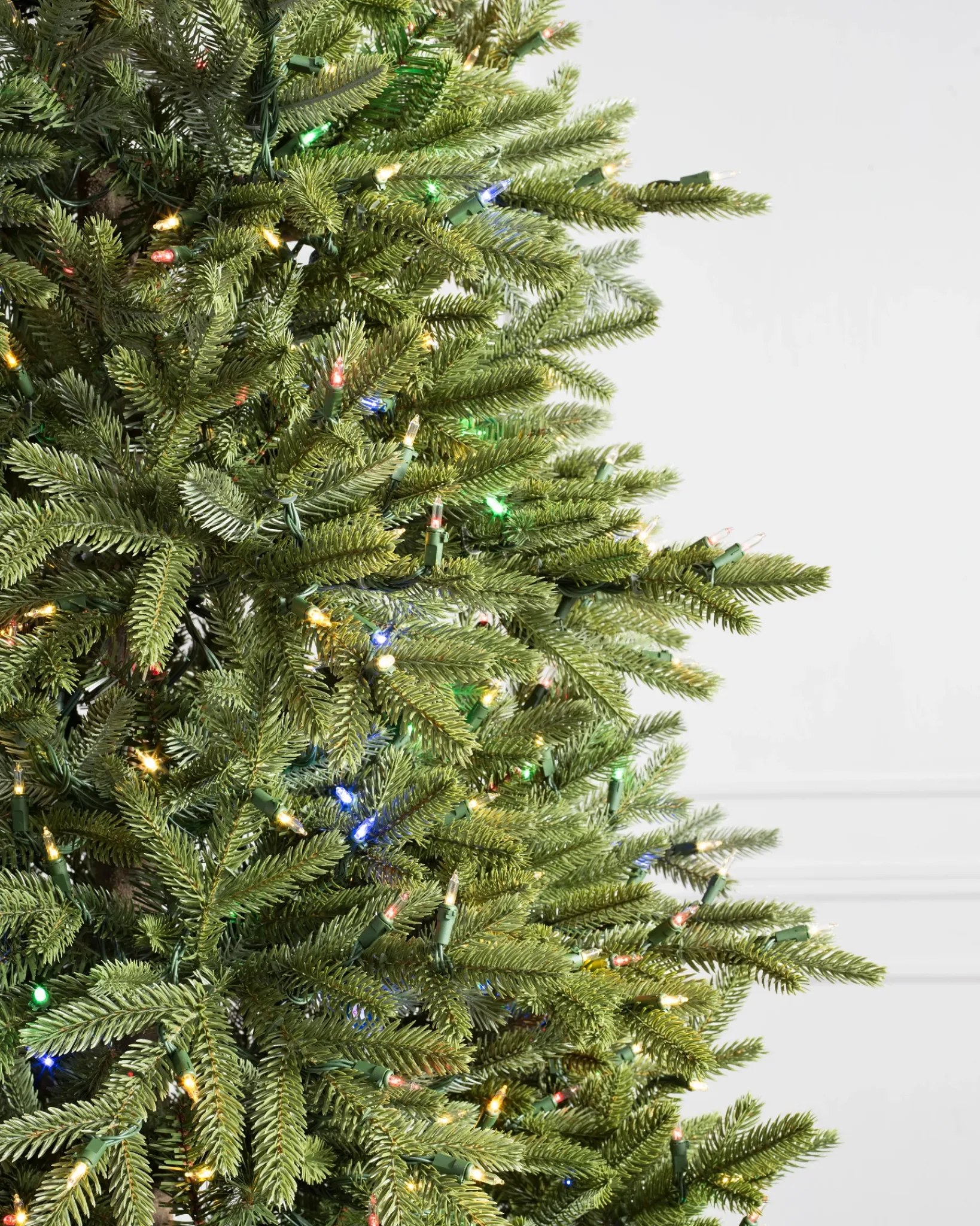 Online BH Norway Spruce Trees 7 - 7.5 Feet|Under 6 Feet
