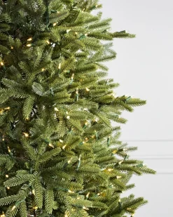 Online BH Norway Spruce Trees 7 - 7.5 Feet|Under 6 Feet