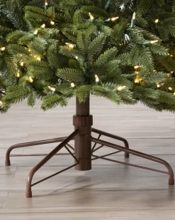 Online BH Norway Spruce Trees 7 - 7.5 Feet|Under 6 Feet