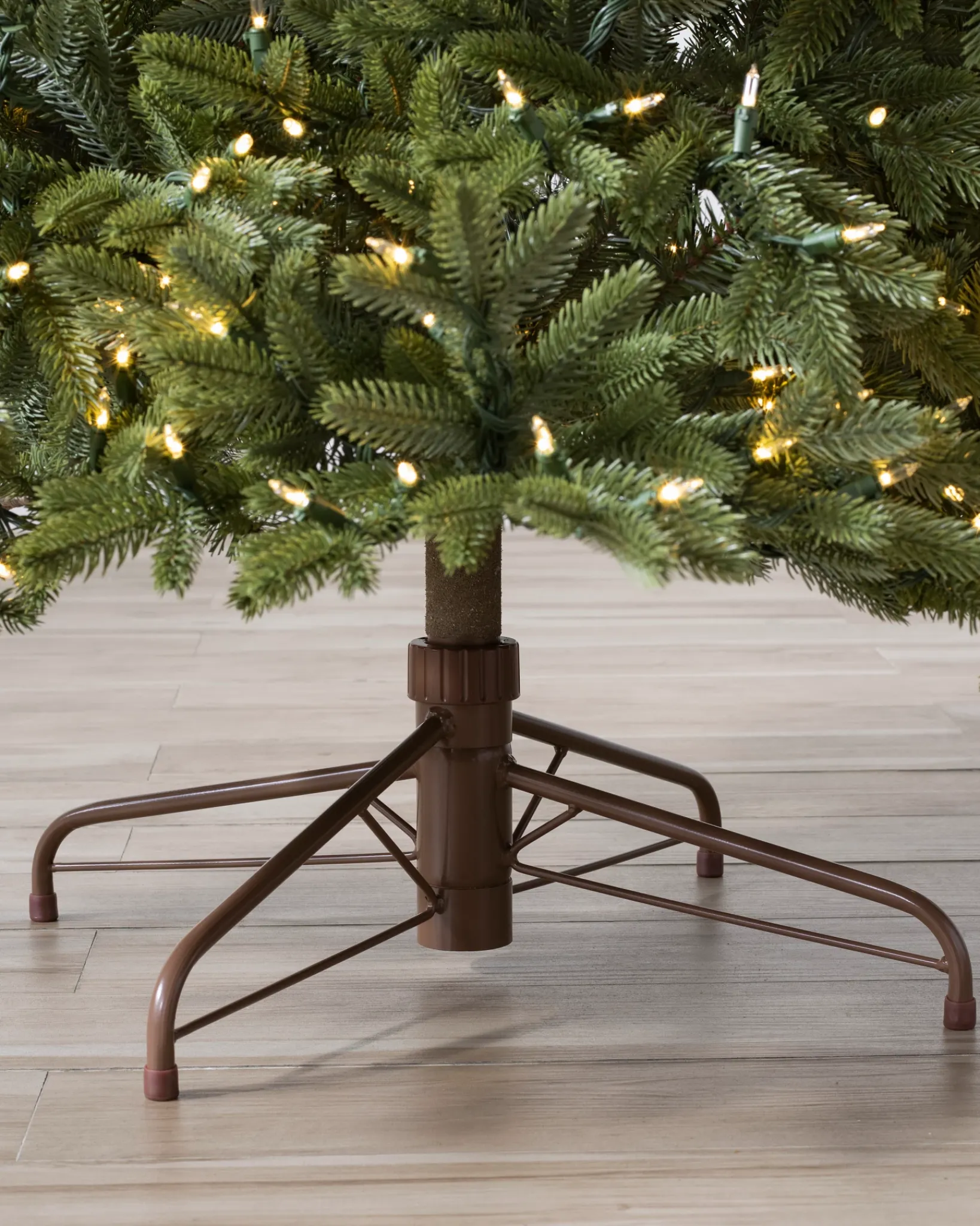 Online BH Norway Spruce Trees 7 - 7.5 Feet|Under 6 Feet