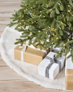 Online BH Norway Spruce Trees 7 - 7.5 Feet|Under 6 Feet