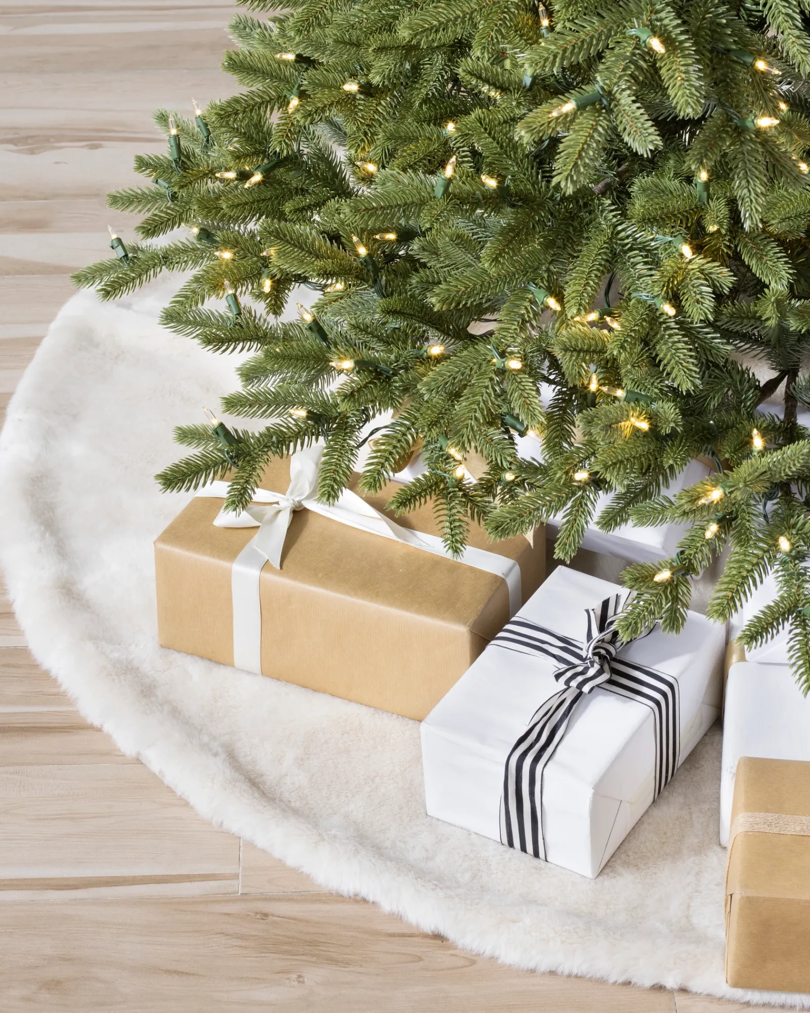 Online BH Norway Spruce Trees 7 - 7.5 Feet|Under 6 Feet