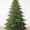 Best Biltmore® Spruce Trees 7 - 7.5 Feet|6 - 6.5 Feet