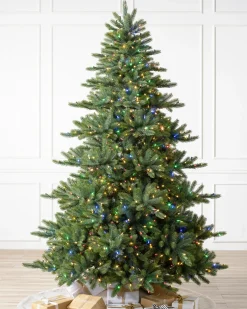 Best Biltmore® Spruce Trees 7 - 7.5 Feet|6 - 6.5 Feet