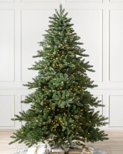 Best Biltmore® Spruce Trees 7 - 7.5 Feet|6 - 6.5 Feet
