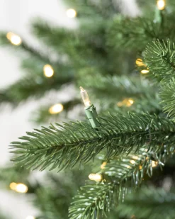 Best Biltmore® Spruce Trees 7 - 7.5 Feet|6 - 6.5 Feet