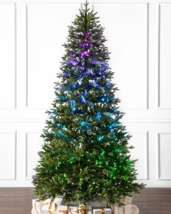 Outlet Broadway Fiber Optics Trees 7 - 7.5 Feet|6 - 6.5 Feet
