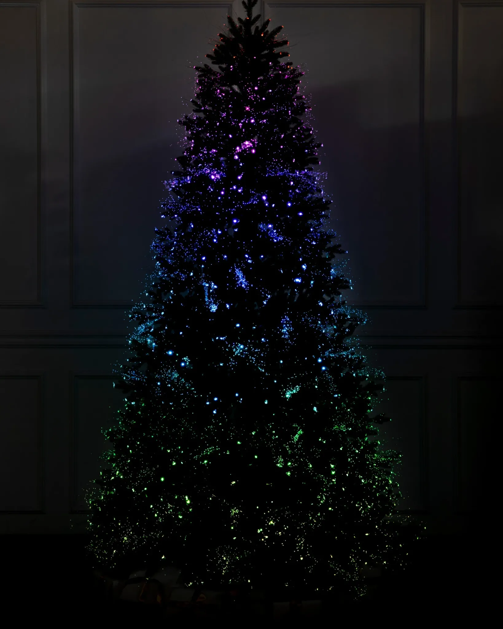 Outlet Broadway Fiber Optics Trees 7 - 7.5 Feet|6 - 6.5 Feet