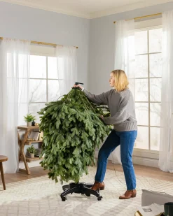 California Baby Redwood Trees 7 - 7.5 Feet|Pre-Lit