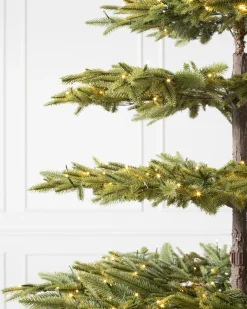 Online Calistoga Ornament® Trees 7 - 7.5 Feet|6 - 6.5 Feet