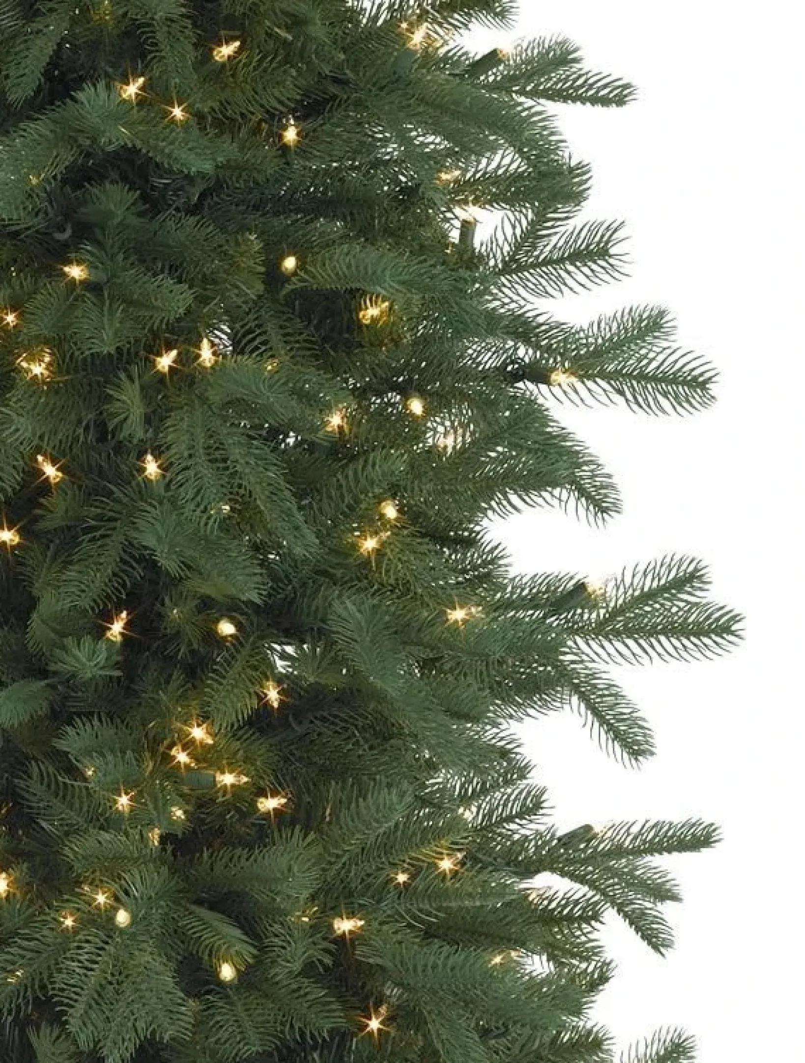 Clearance Cathedral Fir Trees 7 - 7.5 Feet|Pre-Lit