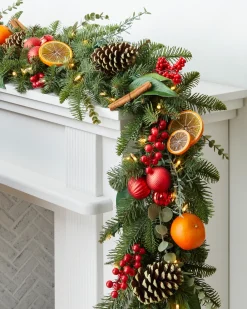 Citrus Spice Foliage Indoor|5 - 7 Feet