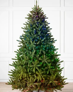 Outlet Classic Blue Spruce Trees 7 - 7.5 Feet|Under 6 Feet
