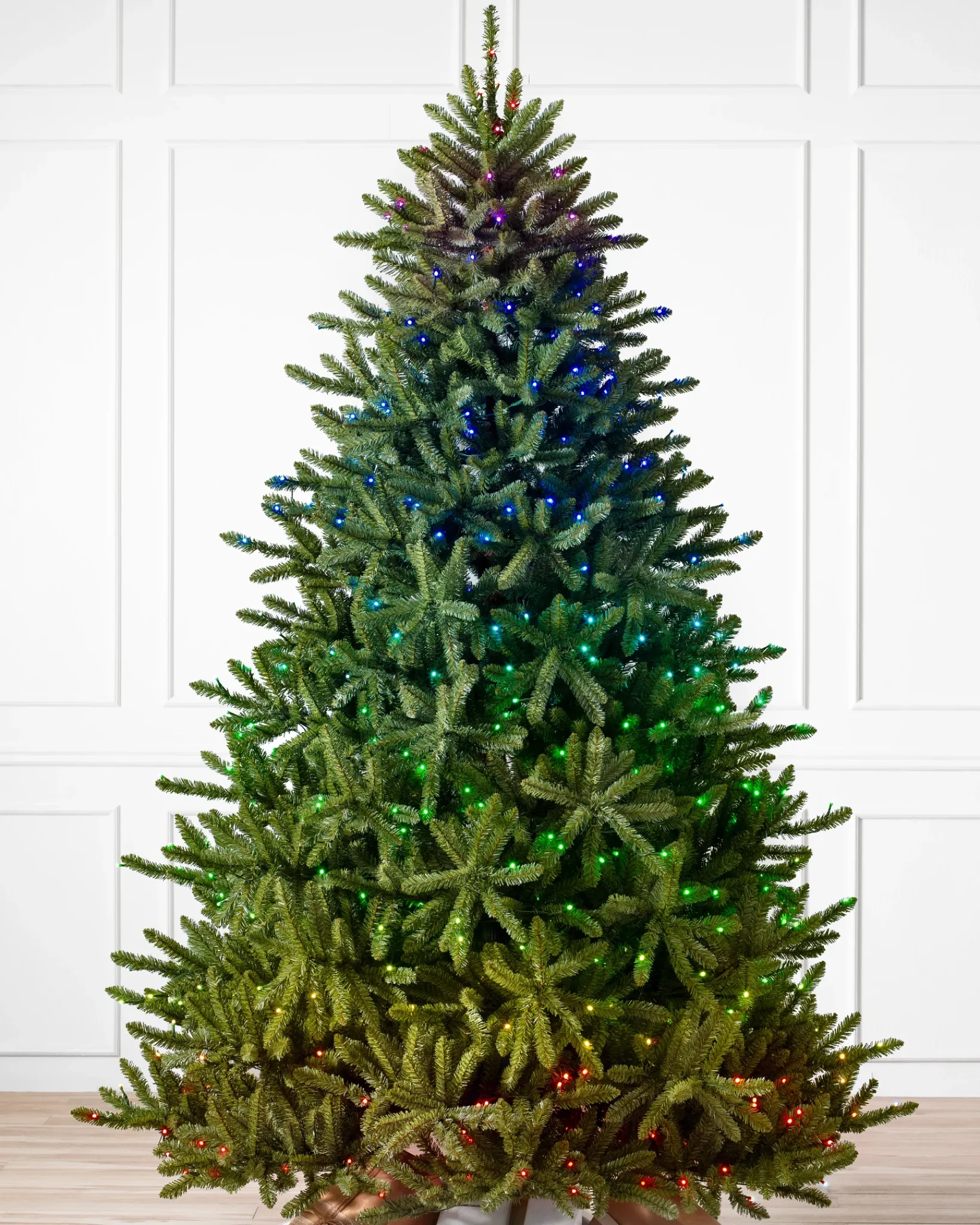 Outlet Classic Blue Spruce Trees 7 - 7.5 Feet|Under 6 Feet