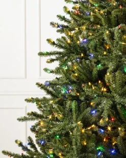 Outlet Classic Blue Spruce Trees 7 - 7.5 Feet|Under 6 Feet
