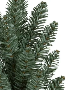 Outlet Classic Blue Spruce Trees 7 - 7.5 Feet|Under 6 Feet