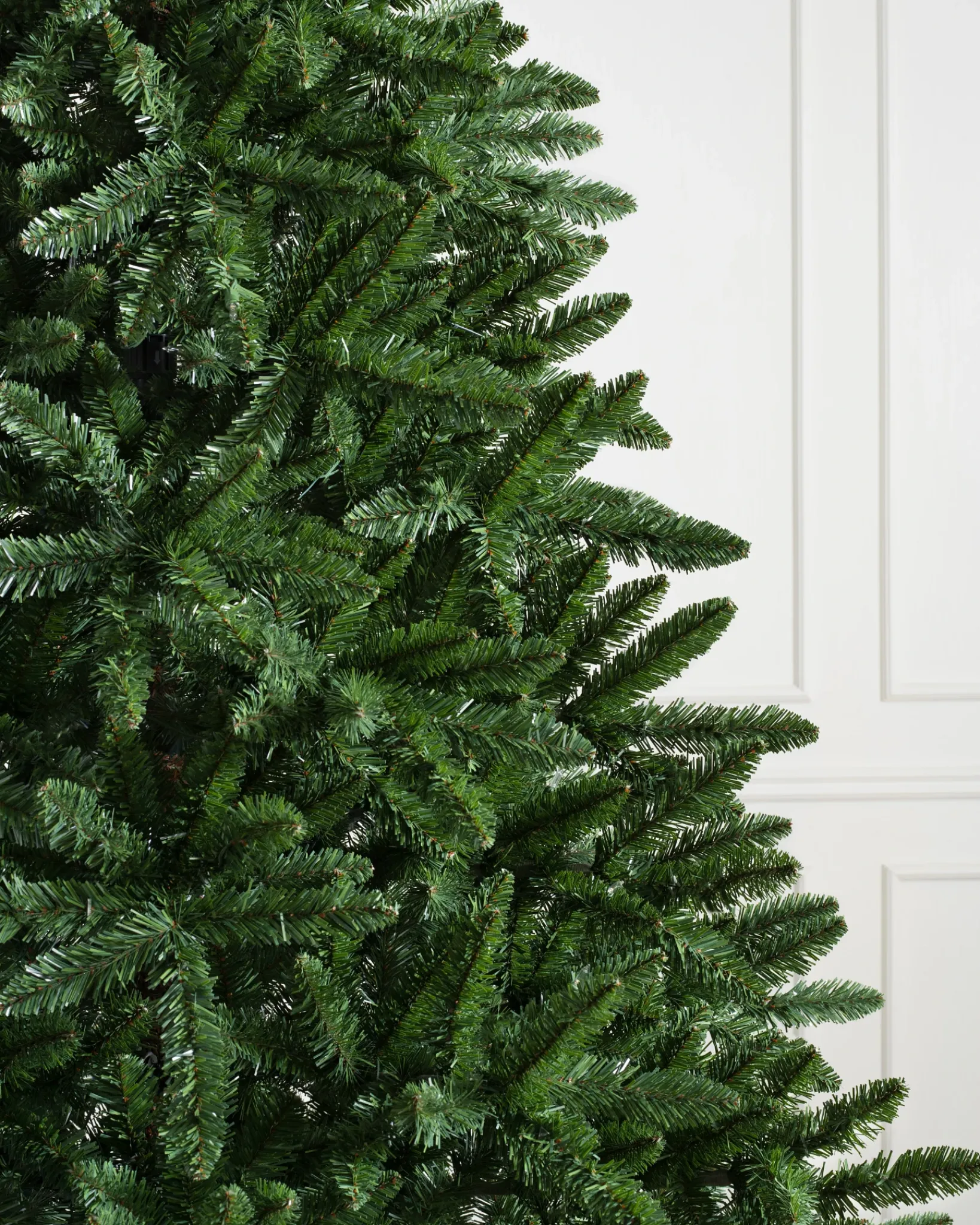 Hot Classic Evergreen Spruce Trees 7 - 7.5 Feet|6 - 6.5 Feet