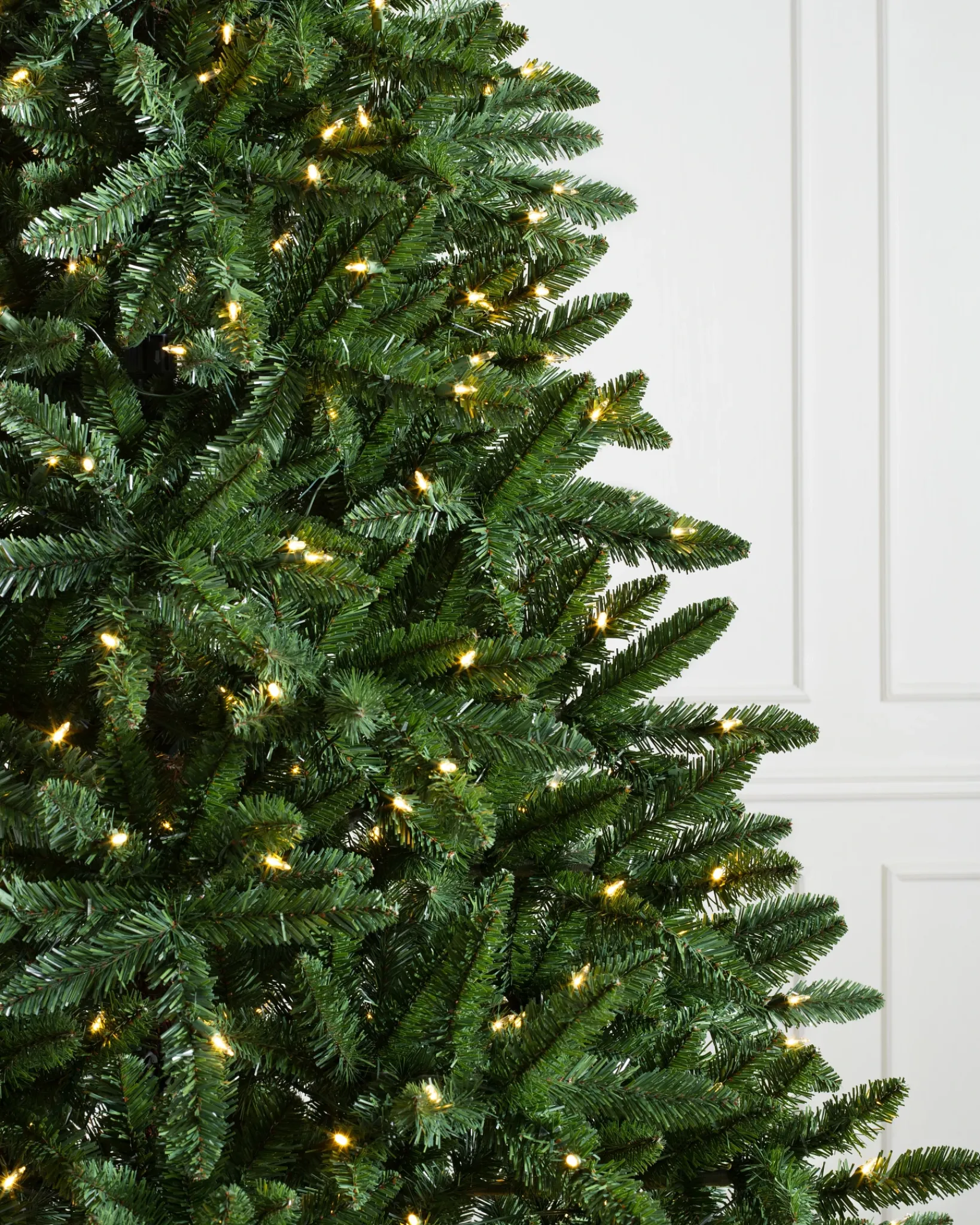 Hot Classic Evergreen Spruce Trees 7 - 7.5 Feet|6 - 6.5 Feet