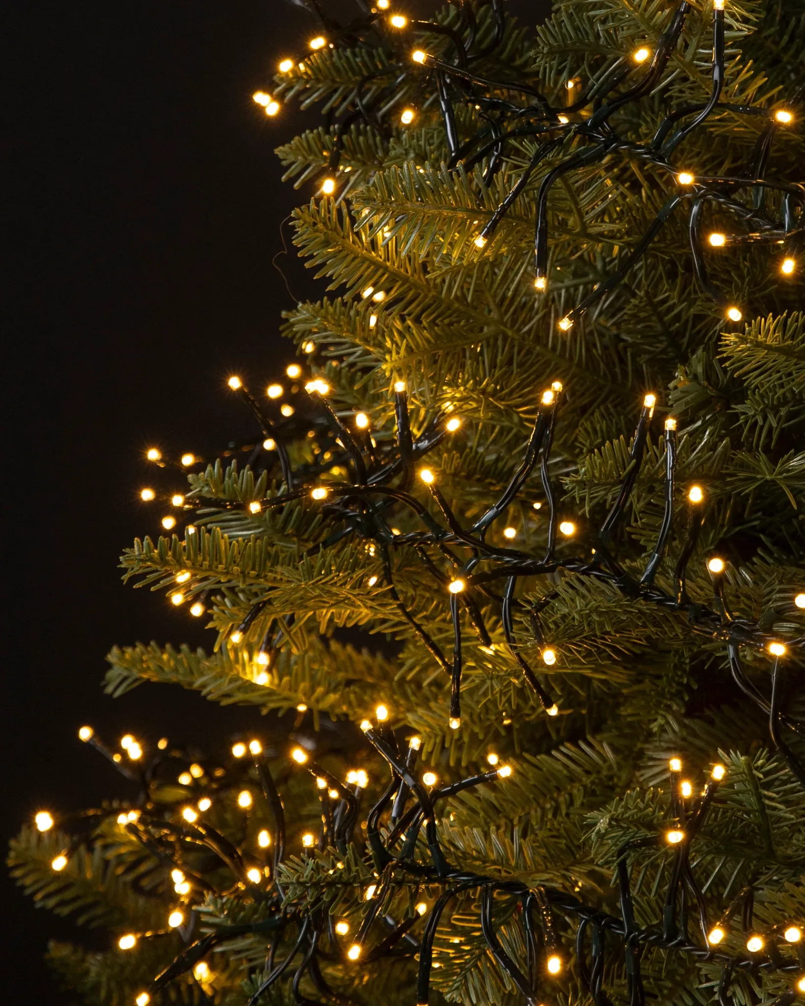 Sale Cluster Micro LED String Lights Lights|String Lighting & Lanterns