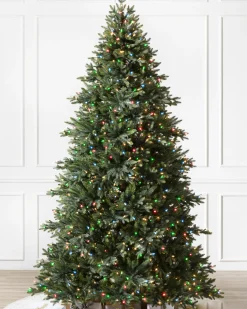 Sale Colorado Mountain Spruce® Trees 7 - 7.5 Feet|Pre-Lit