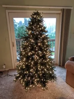 Sale Colorado Mountain Spruce® Trees 7 - 7.5 Feet|Pre-Lit