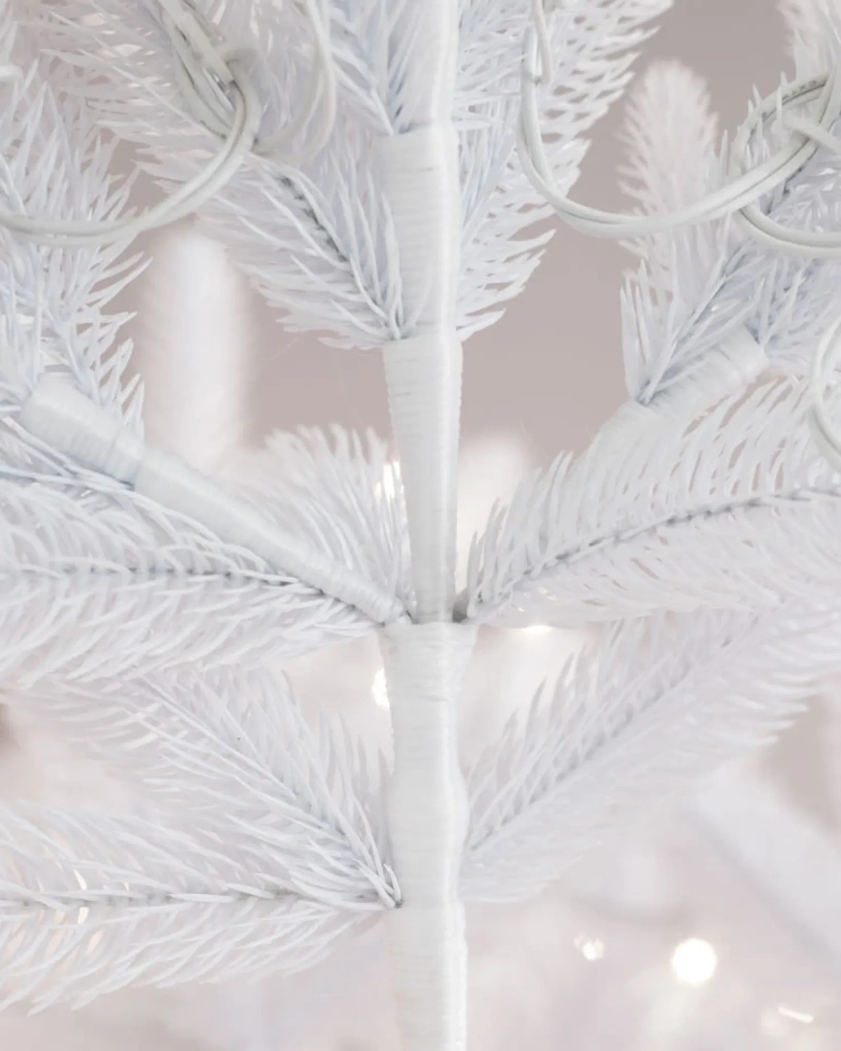 Hot Denali White® Trees 7 - 7.5 Feet|6 - 6.5 Feet