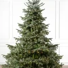 Discount European Fir Trees 7 - 7.5 Feet|Under 6 Feet