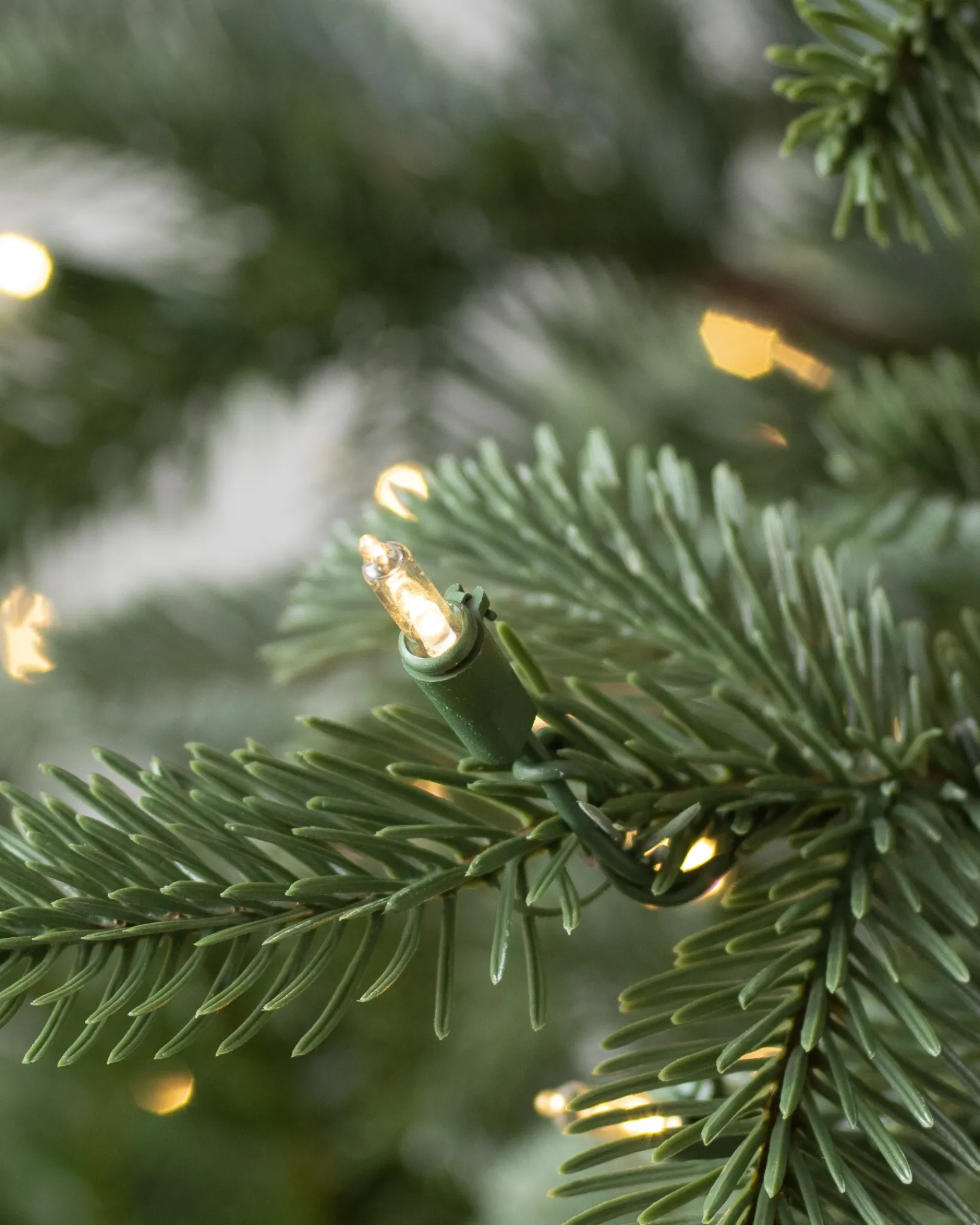 Discount European Fir Trees 7 - 7.5 Feet|Under 6 Feet
