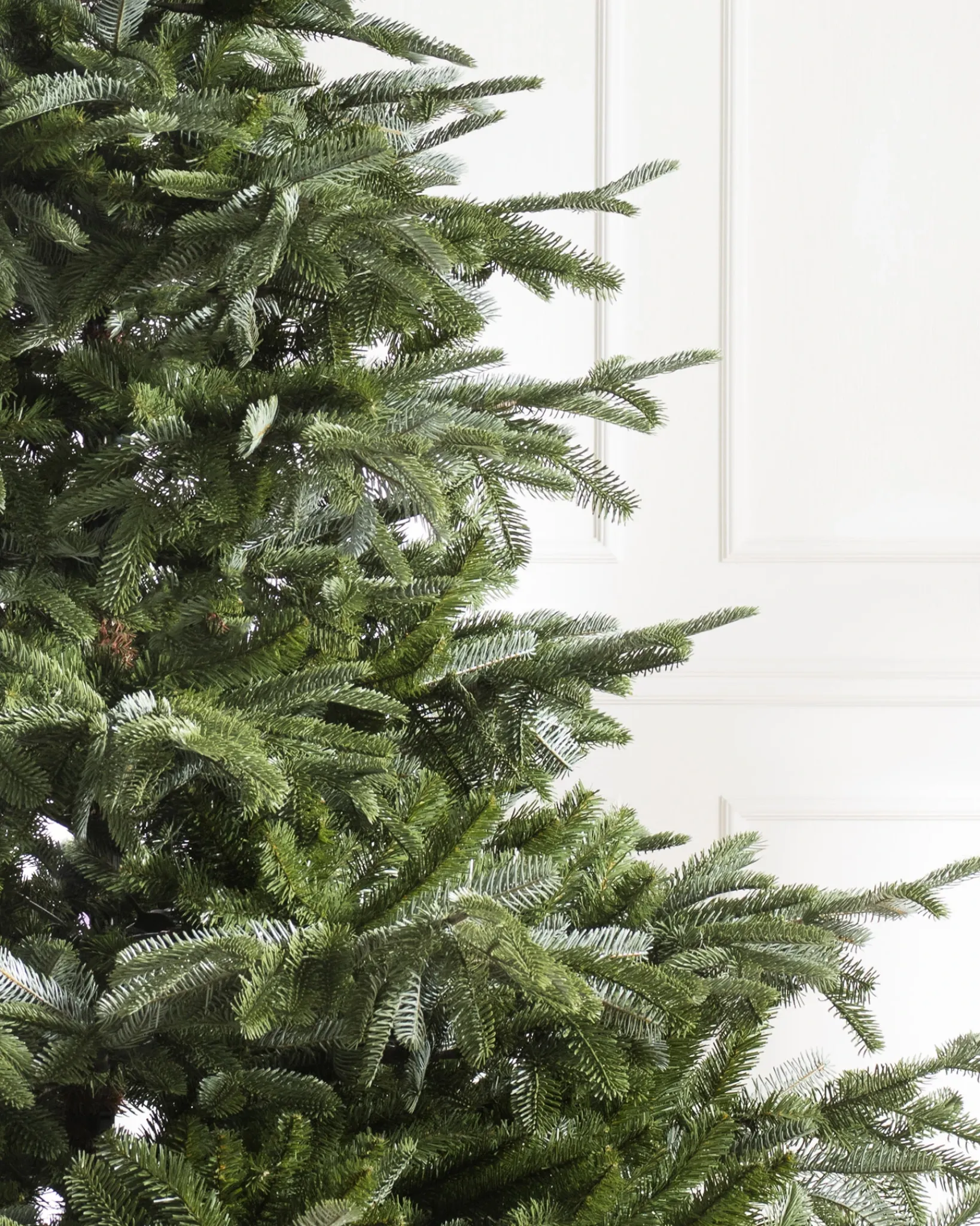 Discount European Fir Trees 7 - 7.5 Feet|Under 6 Feet