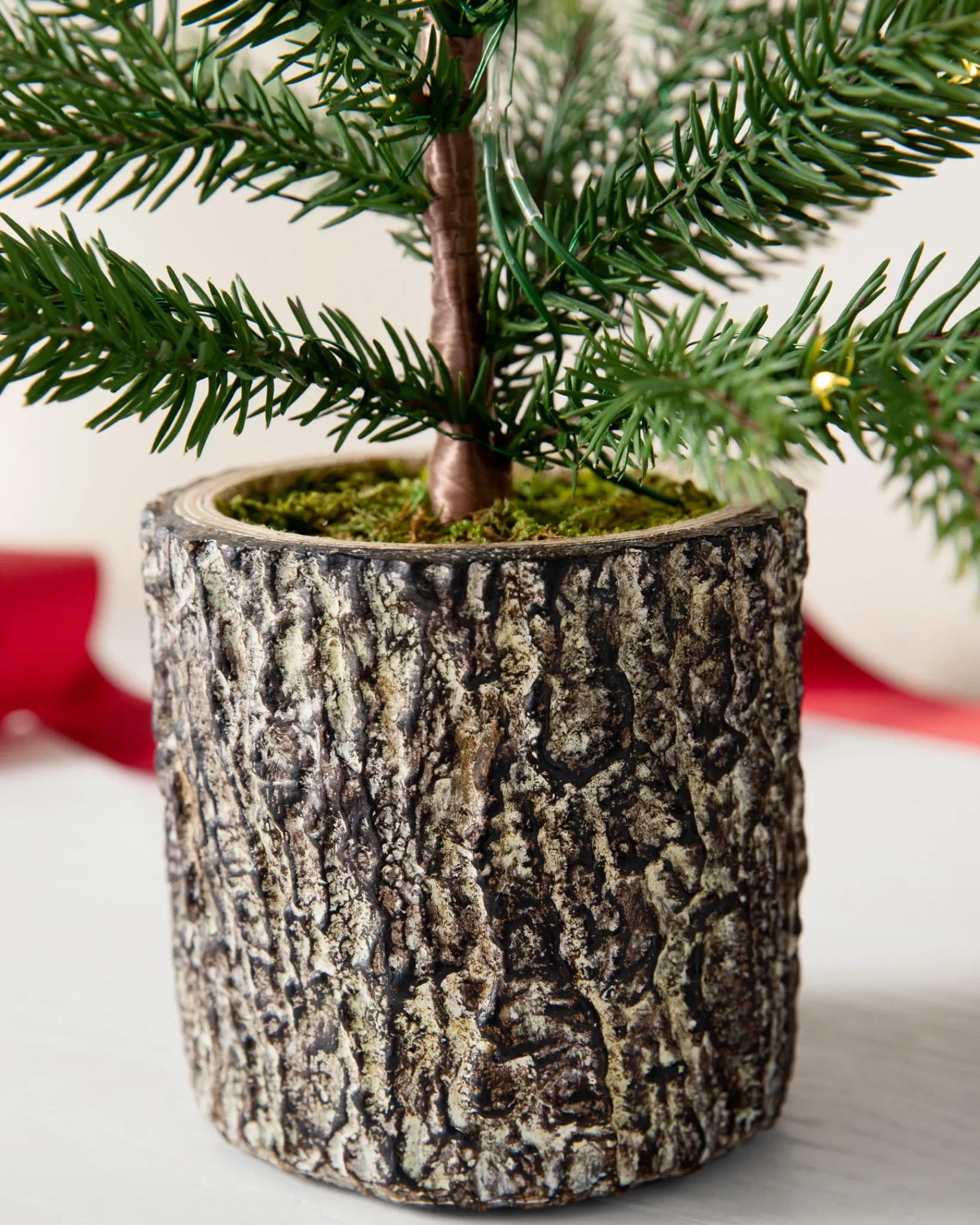 Hot Evergreen Saplings Tabletop Trees Tabletop & Accent Trees