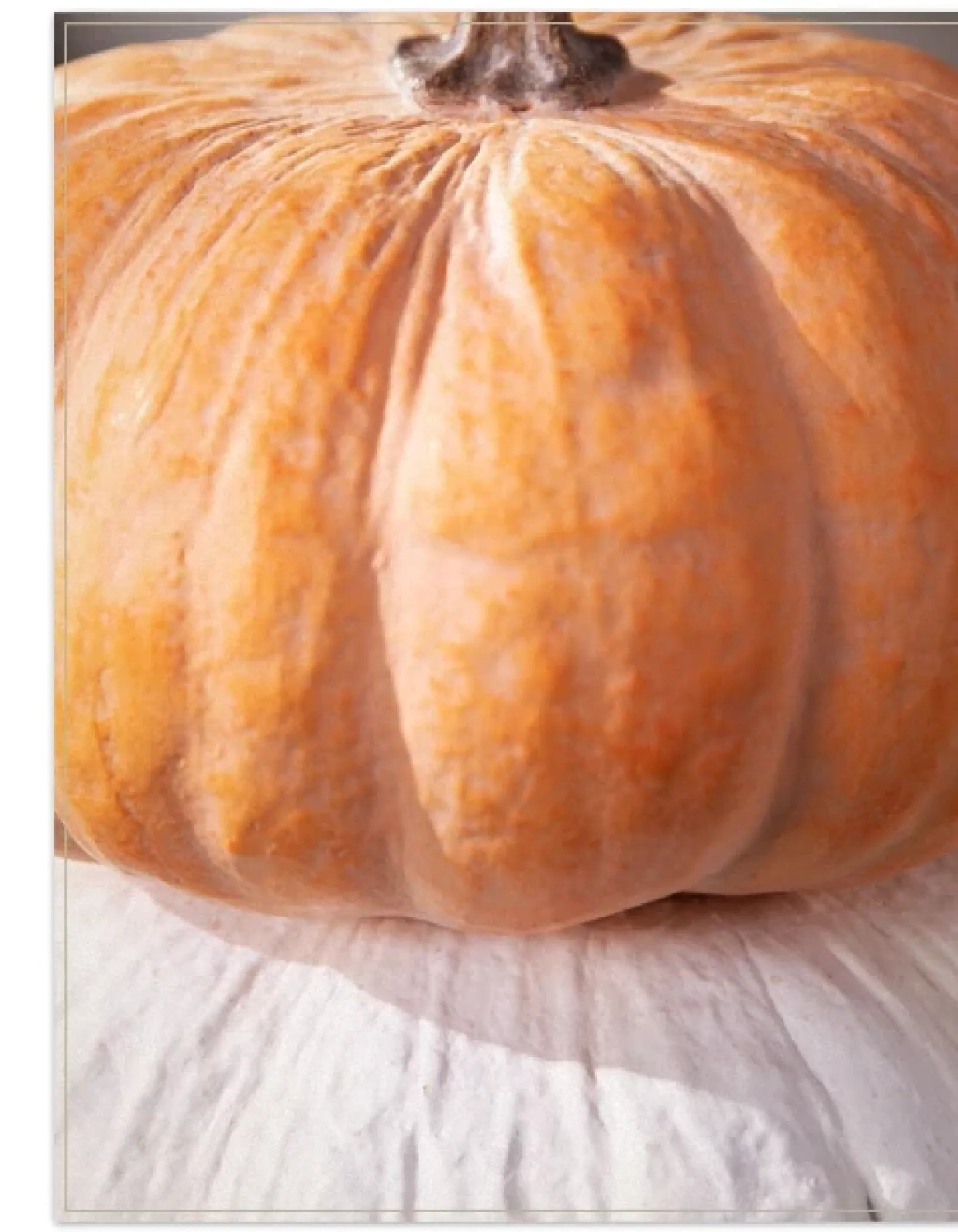 Online Fairytale Pumpkins Outdoor Safe